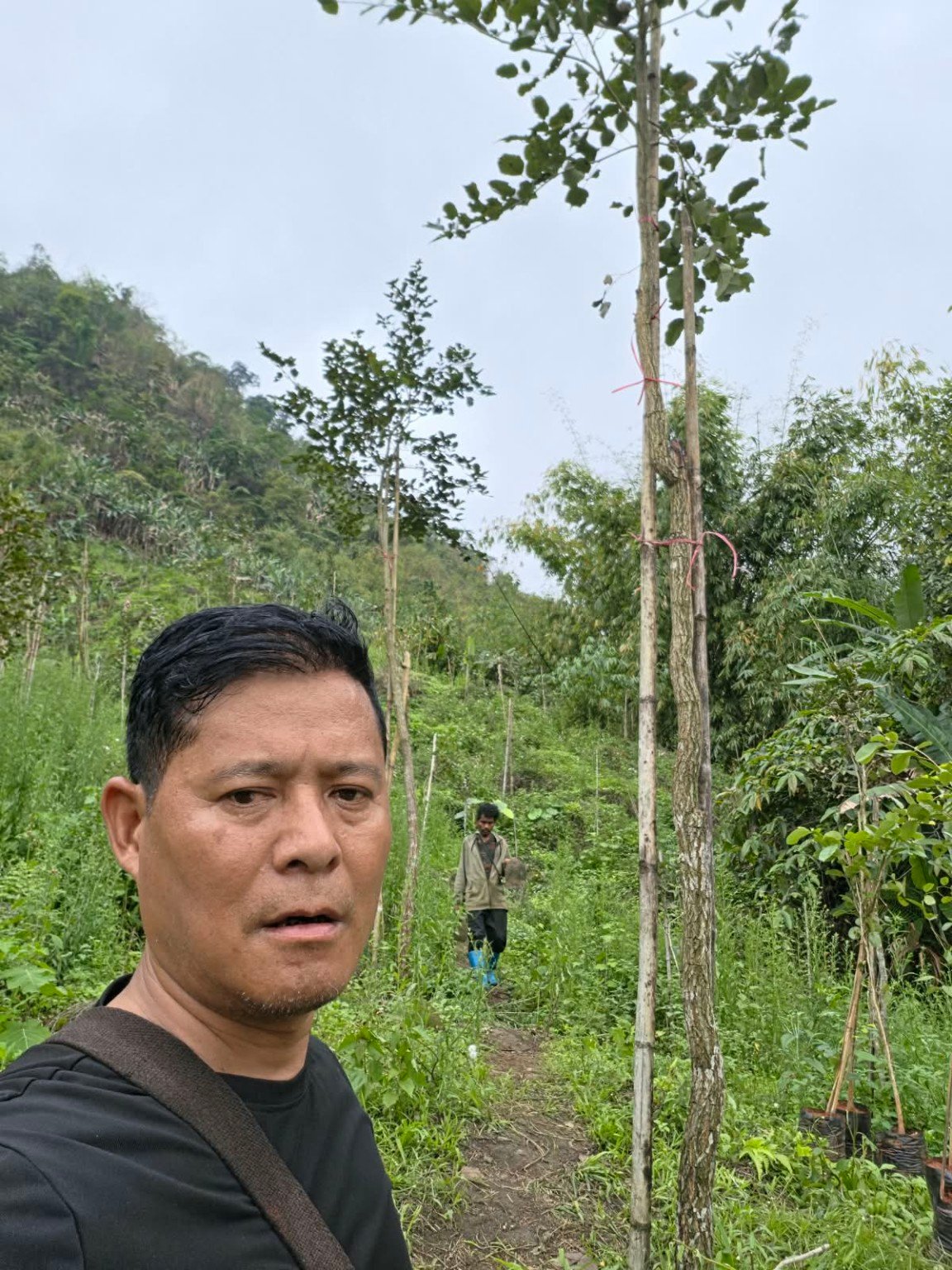 Additional plantation photograph 6